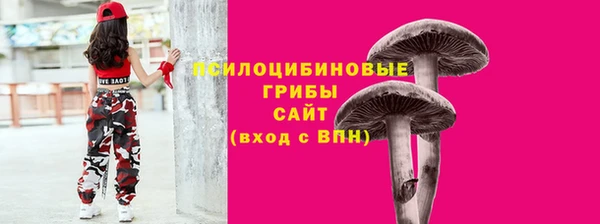 прущие грибы Лиски