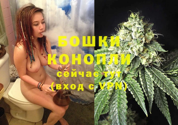 прущие грибы Лиски