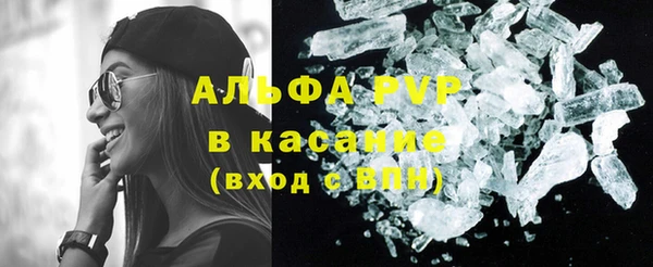 прущие грибы Лиски