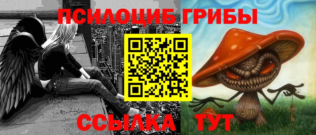 Псилоцибиновые грибы MAGIC MUSHROOMS  где купить наркоту  Мурино  Галлюциногенные грибы Psilocybine cubensis 